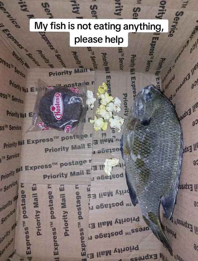 media from the camera roll of a closeted gay man (@slayvideos) on Twitter photo 