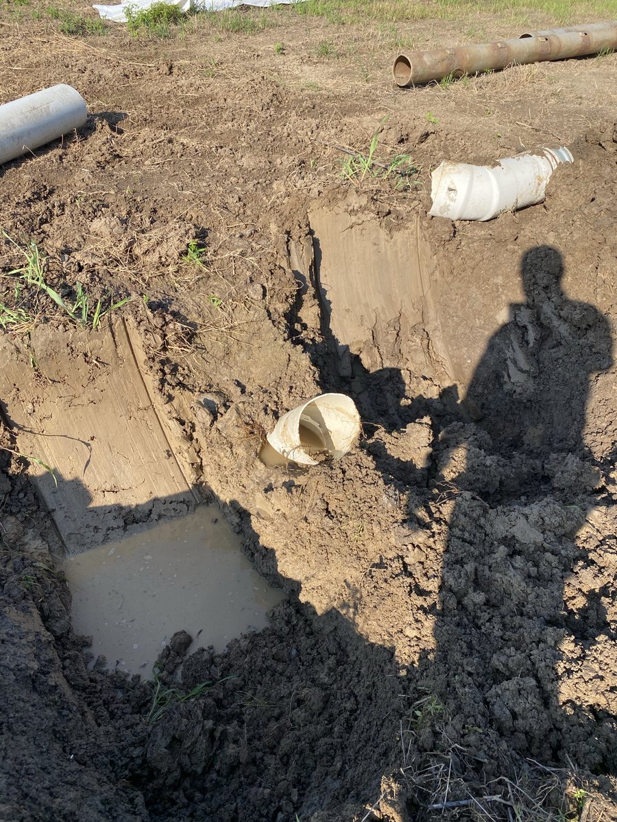 cropmaker79's tweet image. Yeehaw