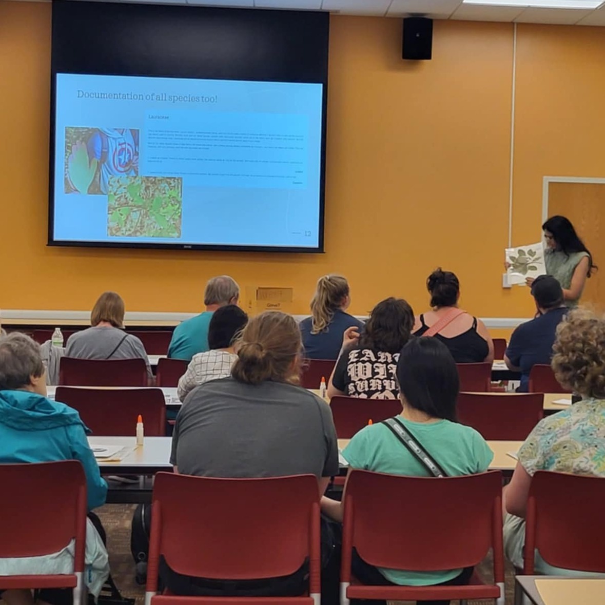 MSU Herbarium tweet media