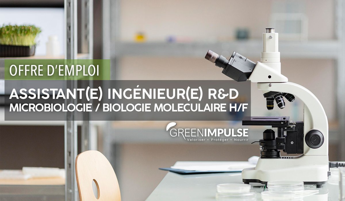 💼🔬NEW #JOB à #Angers 
On recherche un(e) assistant(e) ingénieur(e) R&amp;D - microbiologie / Biologie moléculaire ! Si vous avez un intérêt pour la santé des plantes et souhaitez contribuer à des projets innovants, rencontrons nous !🚀
👉greenimpulse.fr/wp-content/upl…
#Emploi #Recrutement