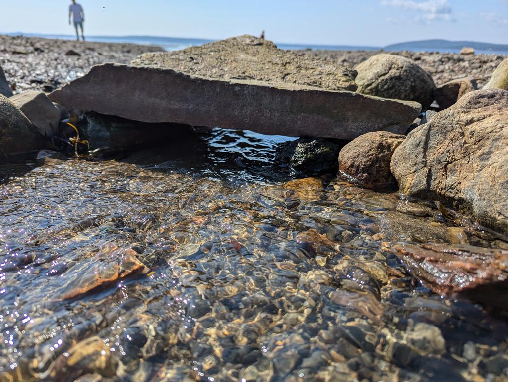 Turil Cronburg tweet media