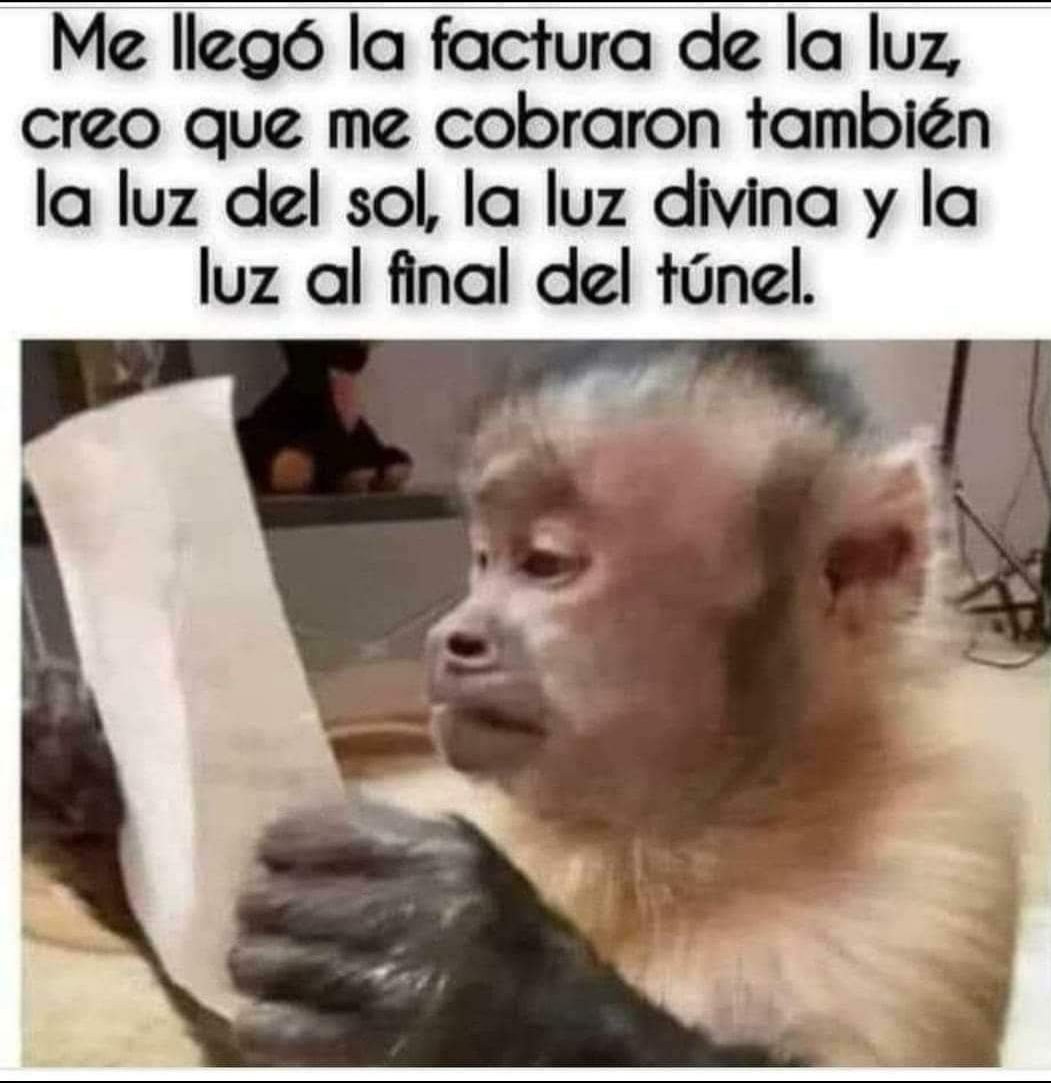 egabrielach's tweet photo. Los seres de luz tenemos para pagar eso y más 😅✌🏻 https://t.co/vkKgSCh0xU