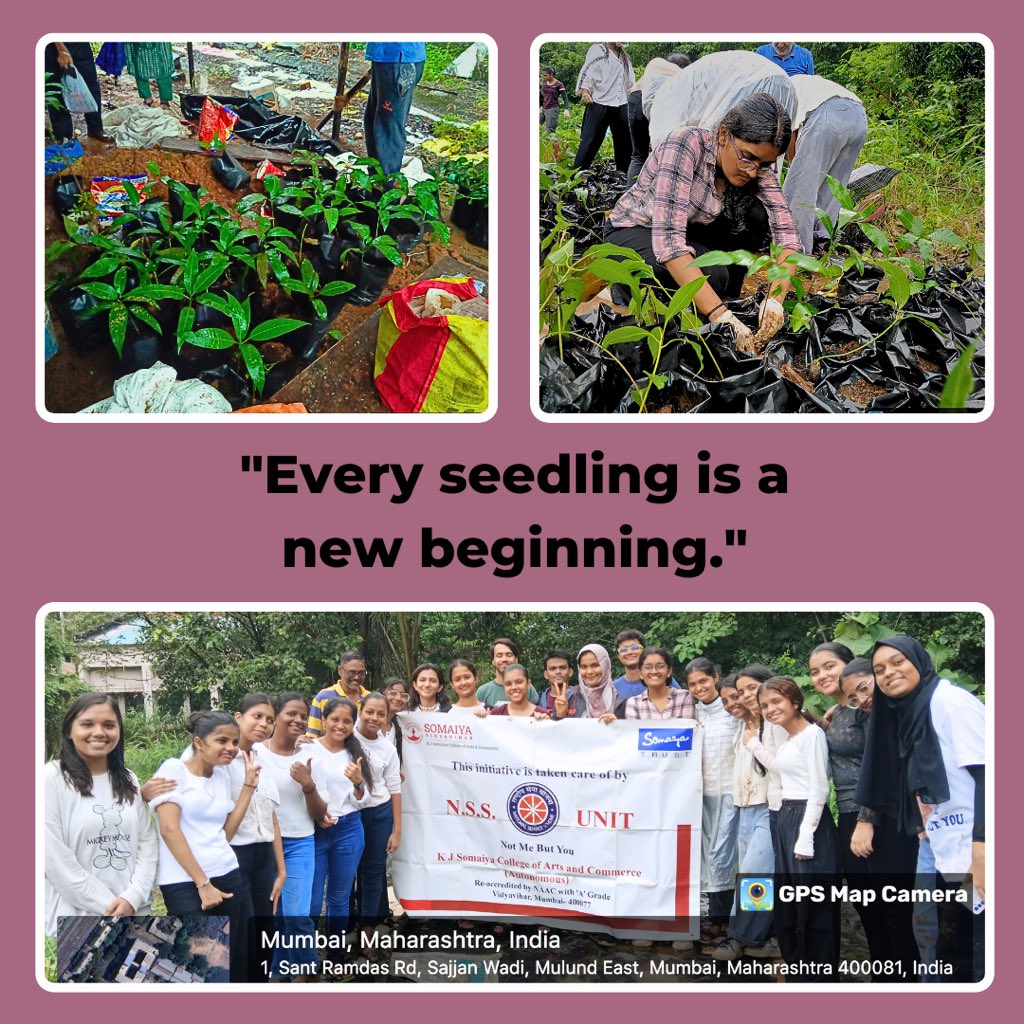 nsskjsac's tweet photo. Transforming our community, one sapling at a time! 🌱 On August 3rd, our N.S.S. Unit came together to fill sapling bags, and plant new lives. It was a day of hands-on action and teamwork, creating green spaces for a brighter future. #GreenInitiative #KJSAC #CommunityImpact https://t.co/Mes58Up8Vo