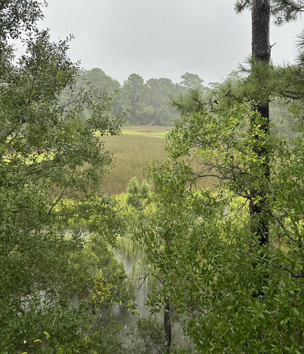 toesinthesand22's tweet photo. Heavy rains this morning. No gusts yet. Gassed up one of the generators just in case #marshview https://t.co/bJpqpc7KPl
