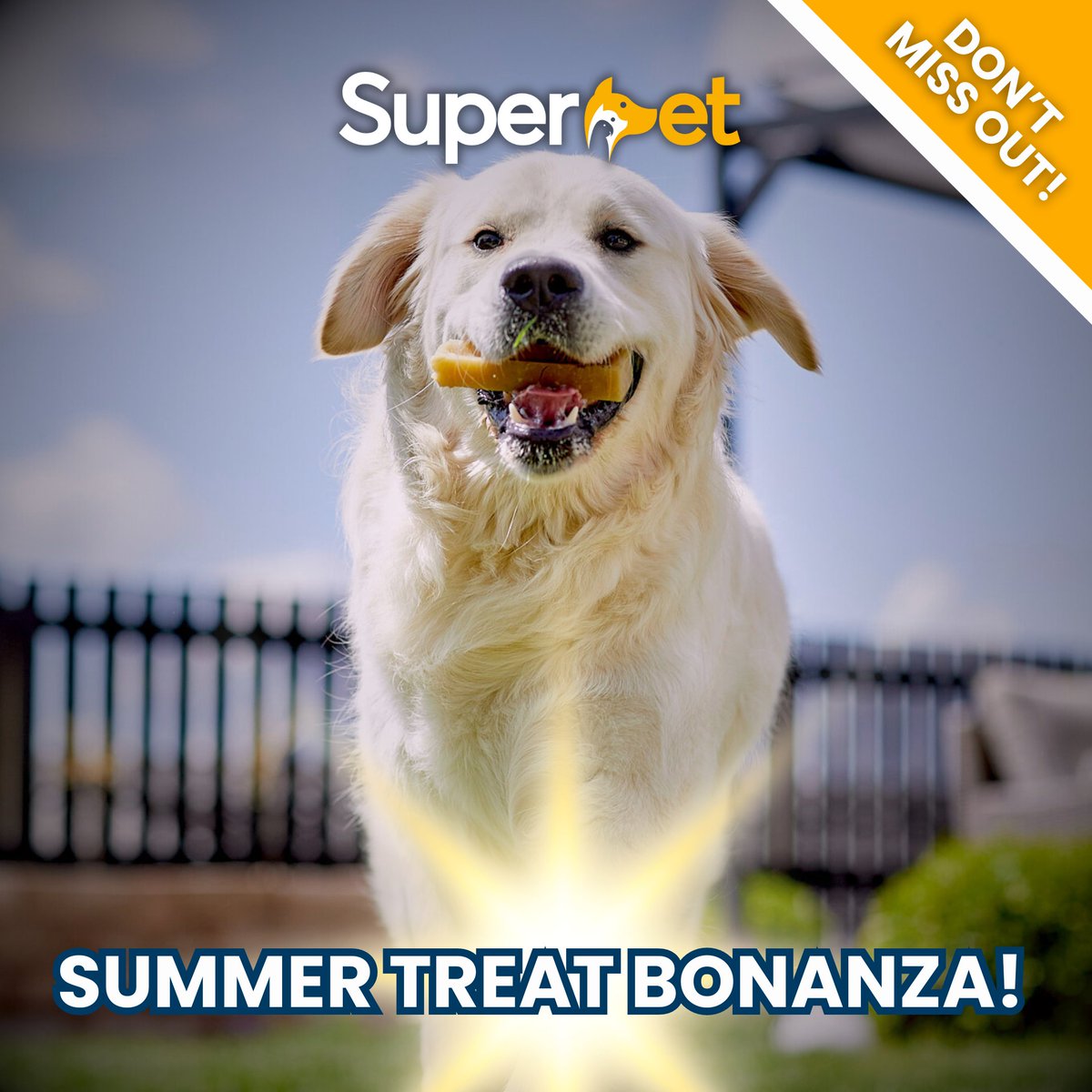 Superpetltd's tweet photo. 🎉 Superpet's Summer Treat Bonanza continues! 🐶 Enjoy an extra 5% discount on all Whimzees and Yakers dog treats! No code needed.
Shop now: https://t.co/YHd9BxF628
#PetCare #Whimzees #Yakers #Superpet #PetDiscounts https://t.co/dLY54x3K6a