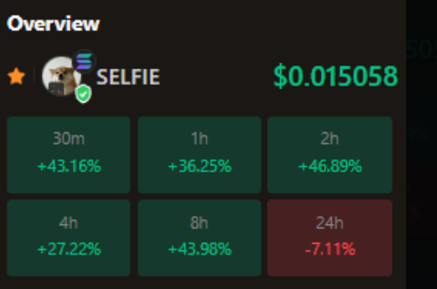 MemeTrickster's tweet photo. I guess it's a $Selfie market...

Holy shit what a strong community of chads. https://t.co/e8fnCFrEws