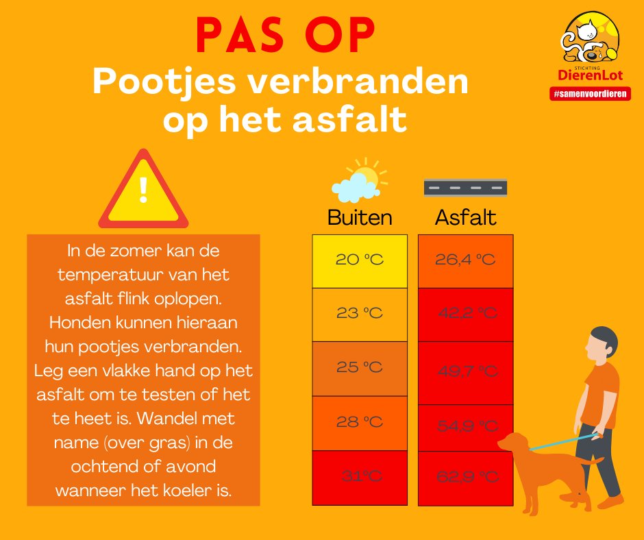 Let op: nu het buiten weer warmer wordt, wordt ook het asfalt binnen korte tijd weer verraderlijk warm. ☀️

#zomer #hittetip #zon