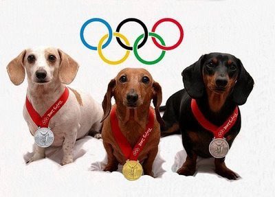 cachorro (@cachorrocore) on Twitter photo 