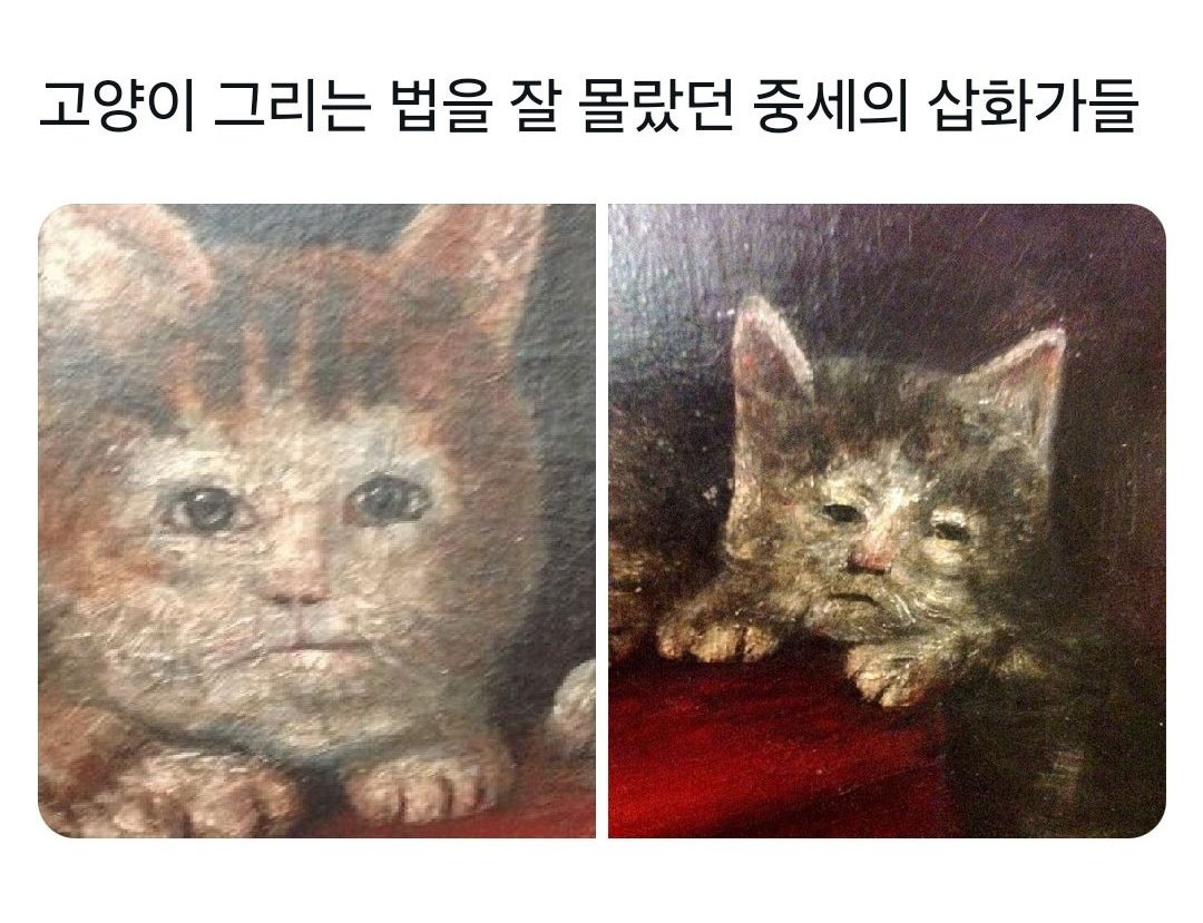 고양아 니 무슨 일 있었나