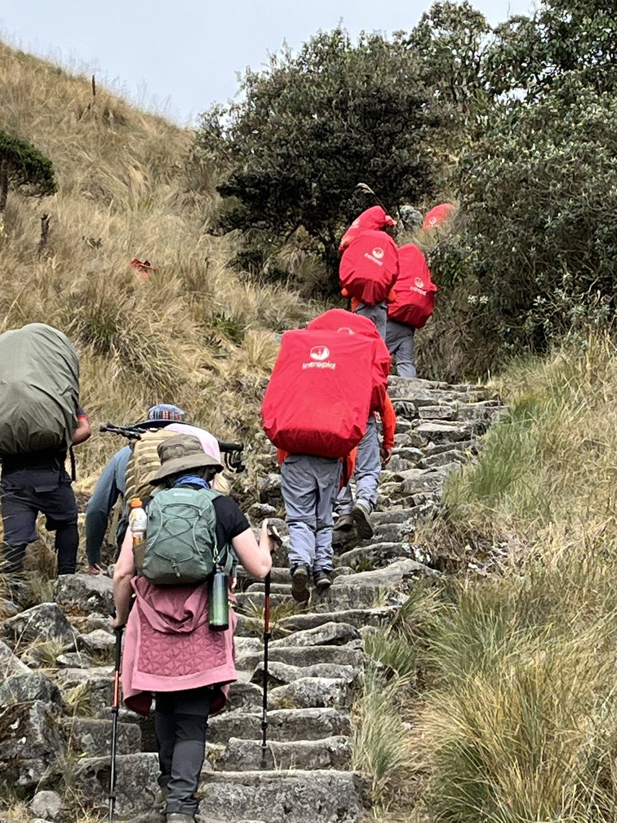 Jane Ohlmeyer tweet media