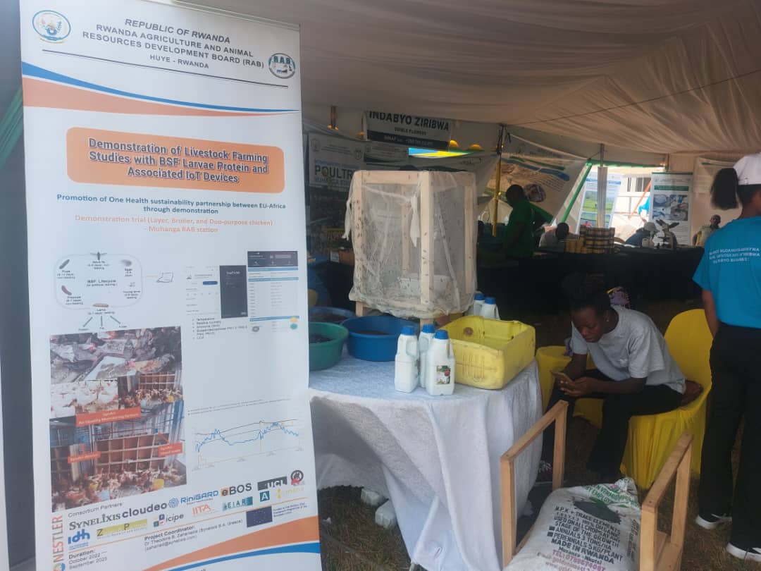 nyabpass's tweet photo. @NestlerProject is in the 17th National Agricultural Show @RwandaAgriShow2024 under the theme decided by the Ministry of Agriculture and Animal Resources "Building Resilient and Sustainable @FoodSystems" from 31 July to 9 August 2024, Gasabo, Kigali City, @icipe @Synelixis https://t.co/AUKsyKsNXL