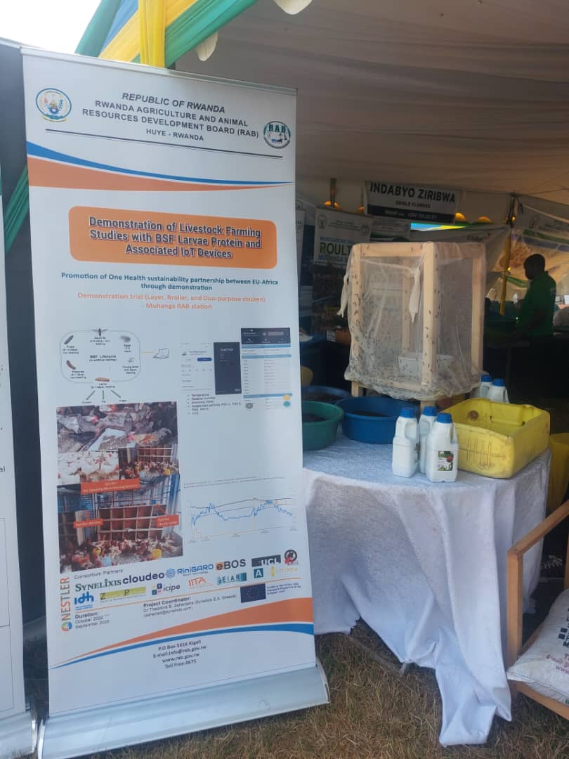 nyabpass's tweet photo. @NestlerProject is in the 17th National Agricultural Show @RwandaAgriShow2024 under the theme decided by the Ministry of Agriculture and Animal Resources "Building Resilient and Sustainable @FoodSystems" from 31 July to 9 August 2024, Gasabo, Kigali City, @icipe @Synelixis https://t.co/AUKsyKsNXL