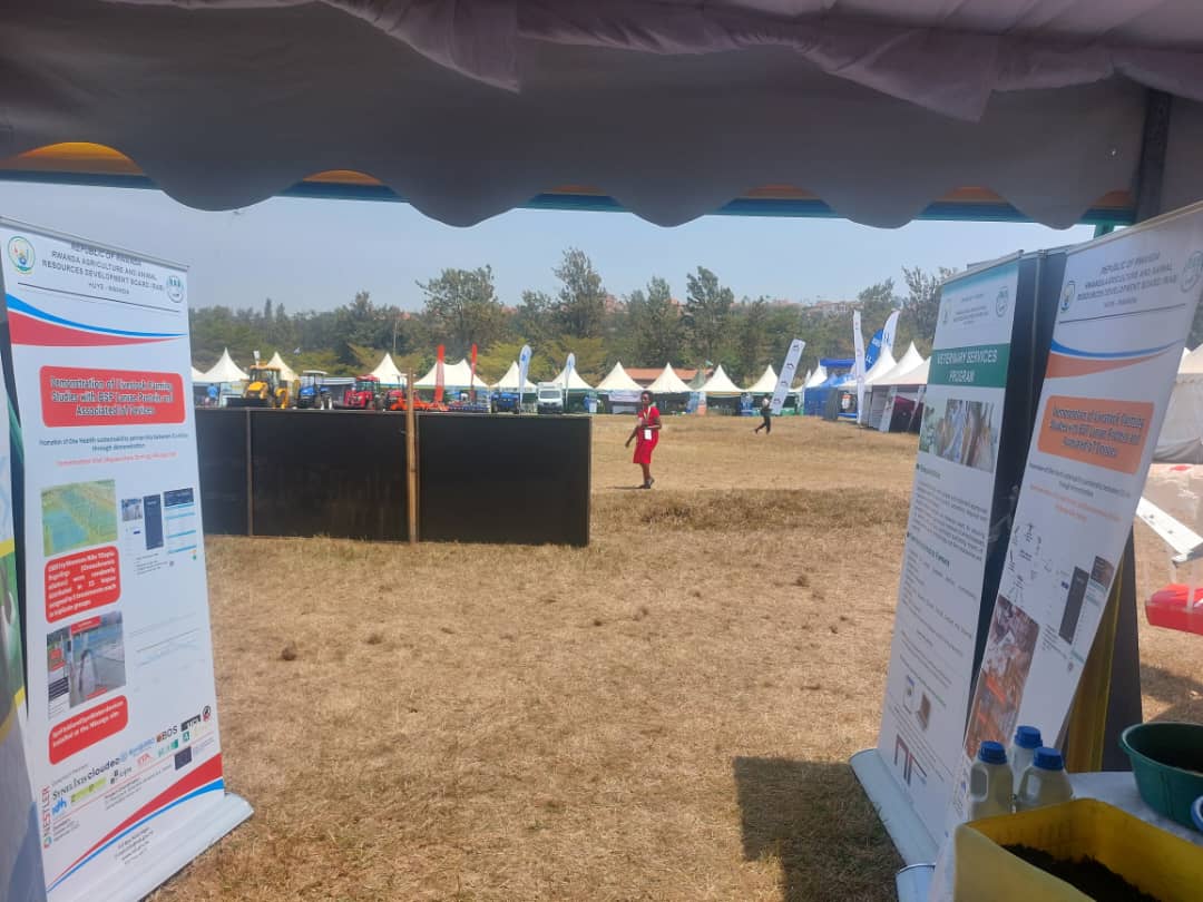 nyabpass's tweet photo. @NestlerProject is in the 17th National Agricultural Show @RwandaAgriShow2024 under the theme decided by the Ministry of Agriculture and Animal Resources "Building Resilient and Sustainable @FoodSystems" from 31 July to 9 August 2024, Gasabo, Kigali City, @icipe @Synelixis https://t.co/AUKsyKsNXL