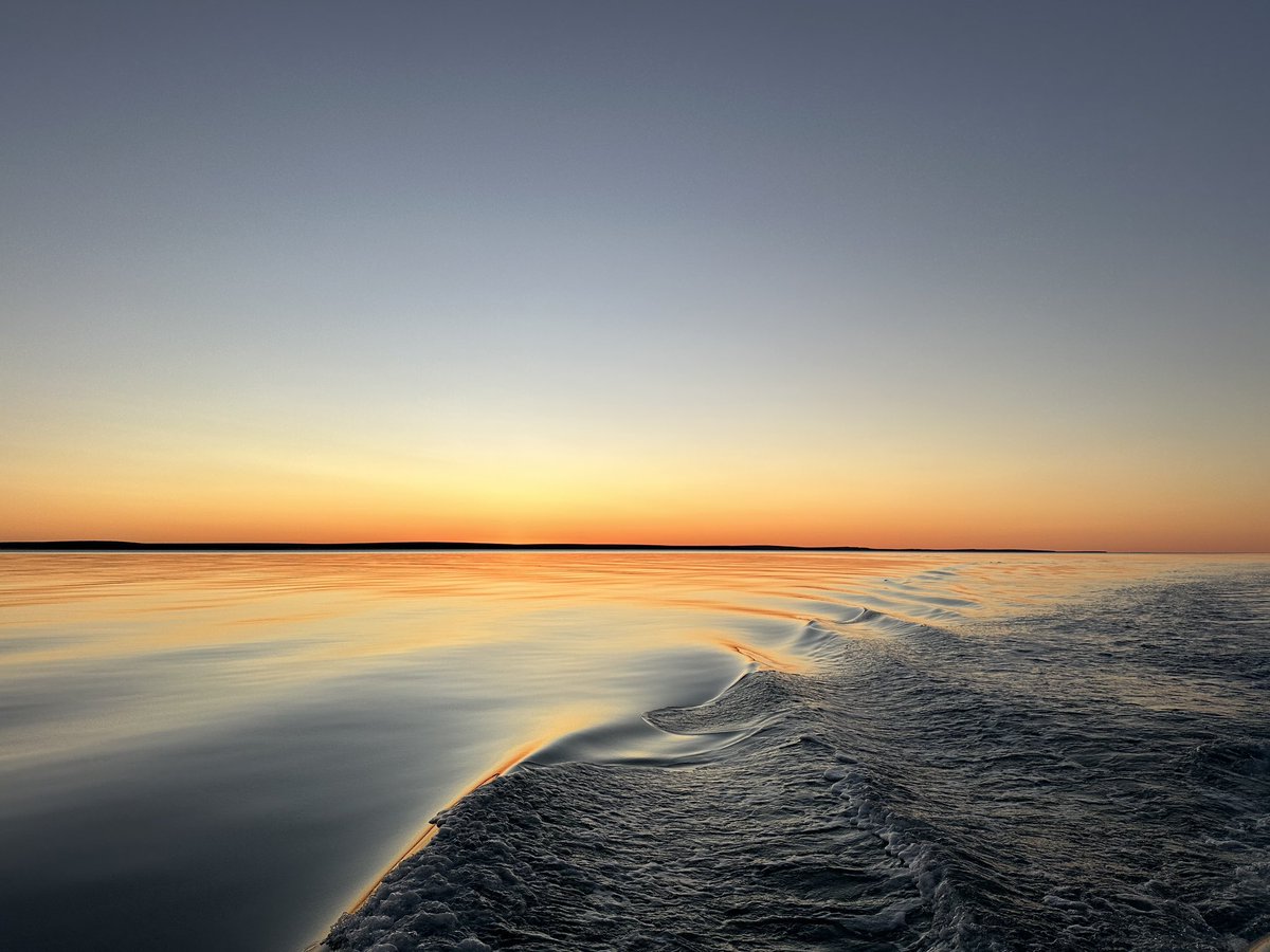 Stephanie L King @stephanielking.bsky.social tweet media