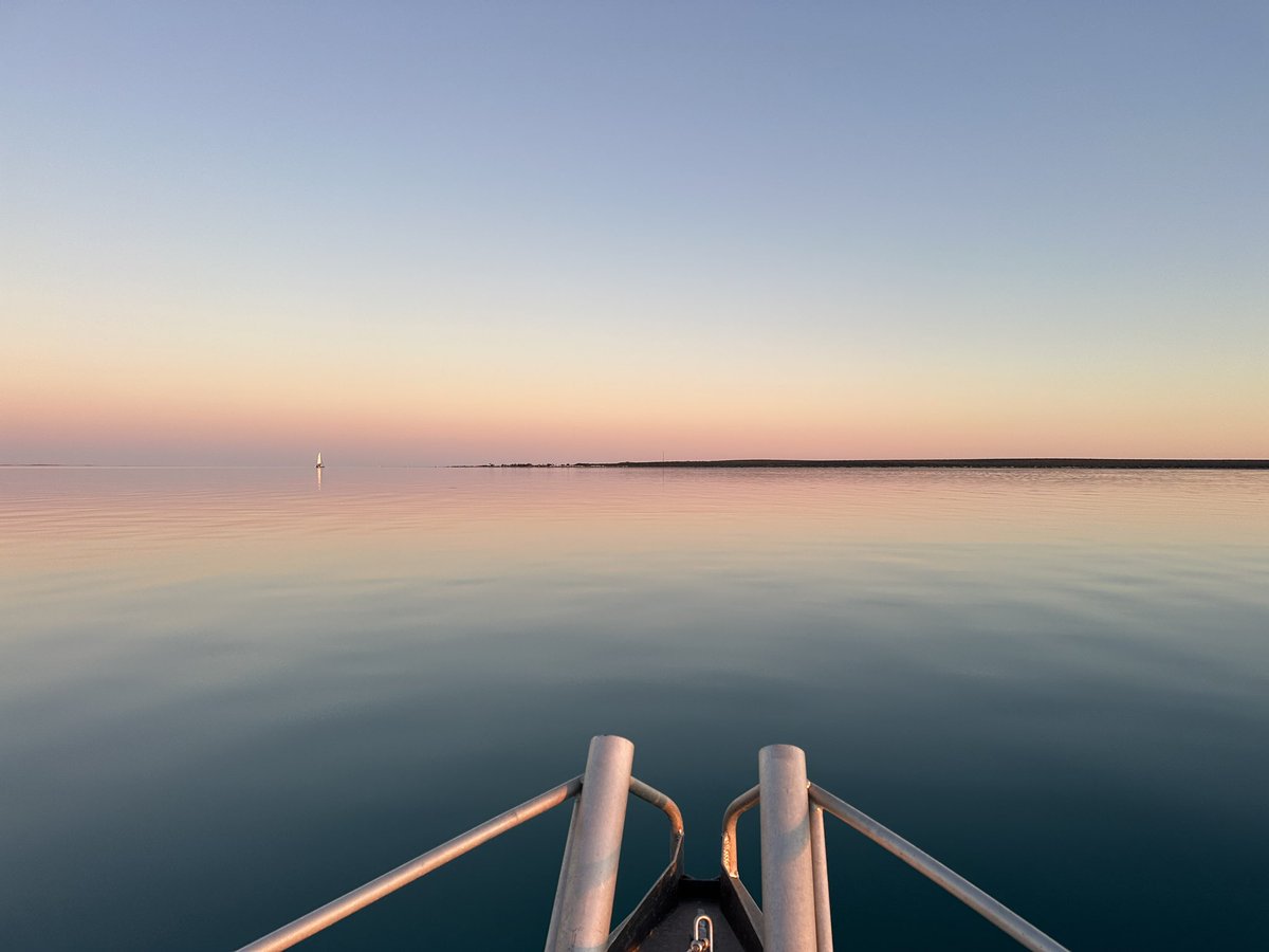 Stephanie L King @stephanielking.bsky.social tweet media