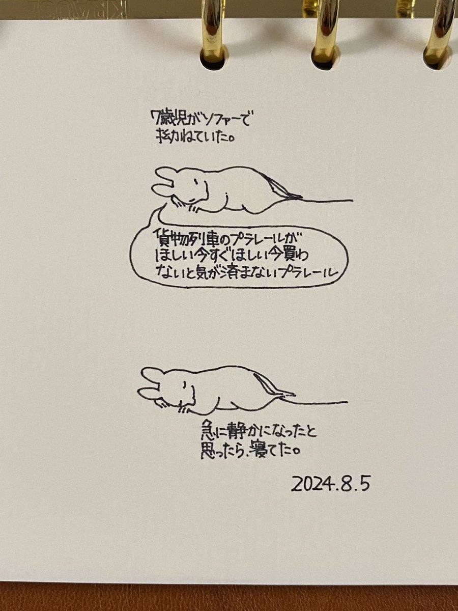 起きたら少しスッキリしてるのかなと思ったけれど、全然変わらず物欲まみれだった。 