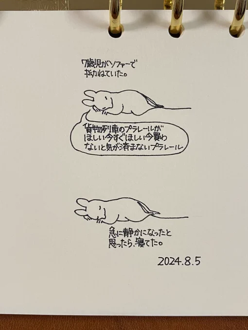 起きたら少しスッキリしてるのかなと思ったけれど、全然変わらず物欲まみれだった。 