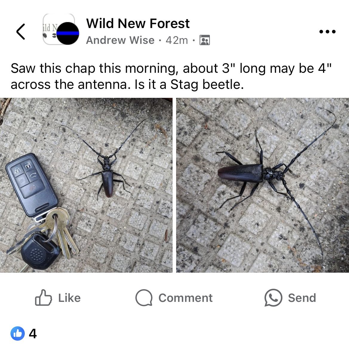 Pete Cooper tweet media