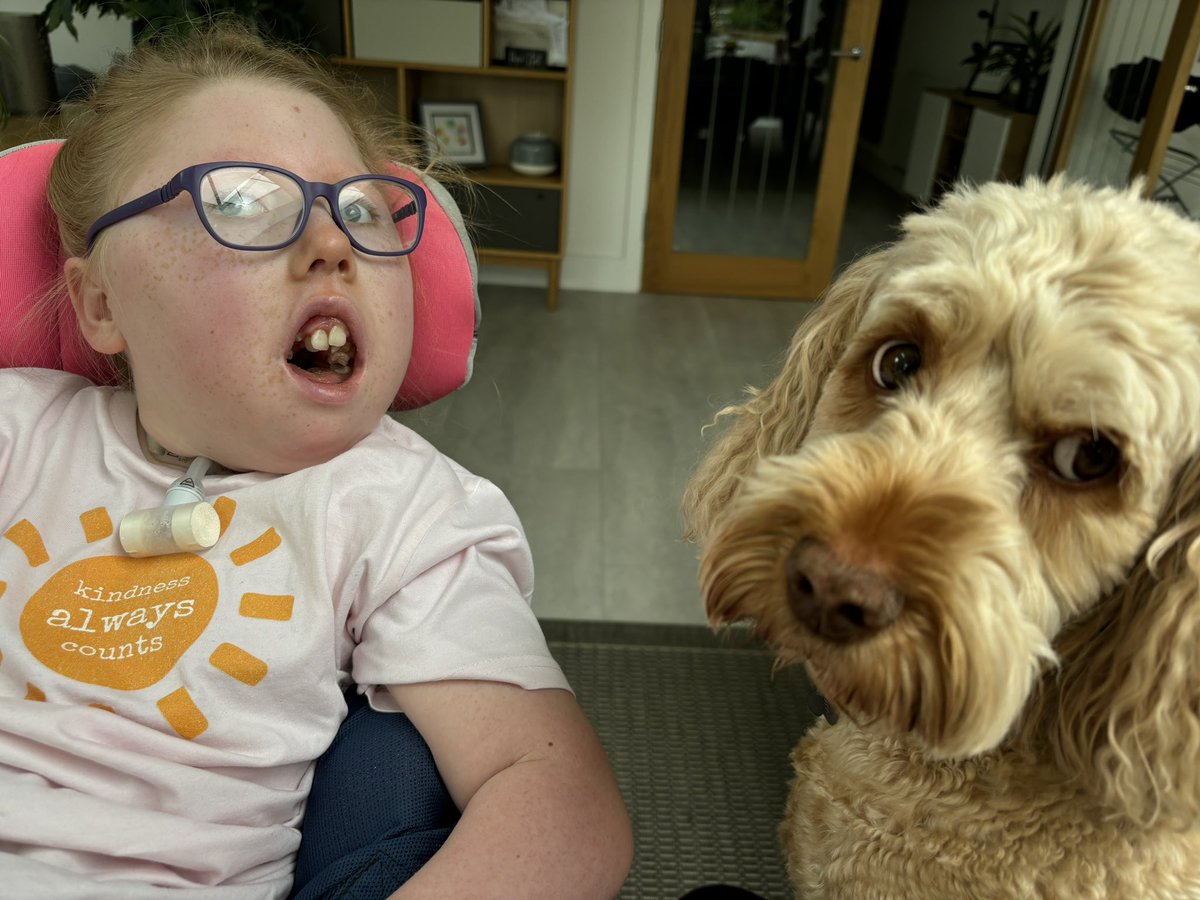 Sarah Land tweet media