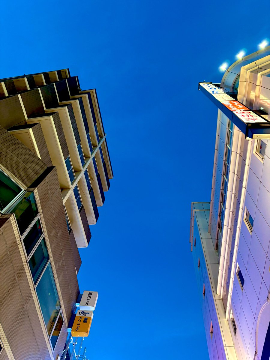 torken1111's tweet image. 昨日もいい日⌒☆*。
🌹🏆🏆

#backdate