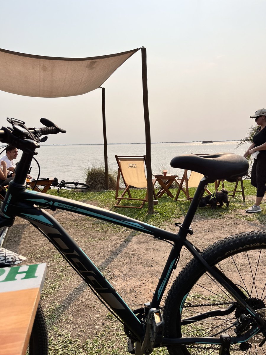 ricardolied's tweet image. 