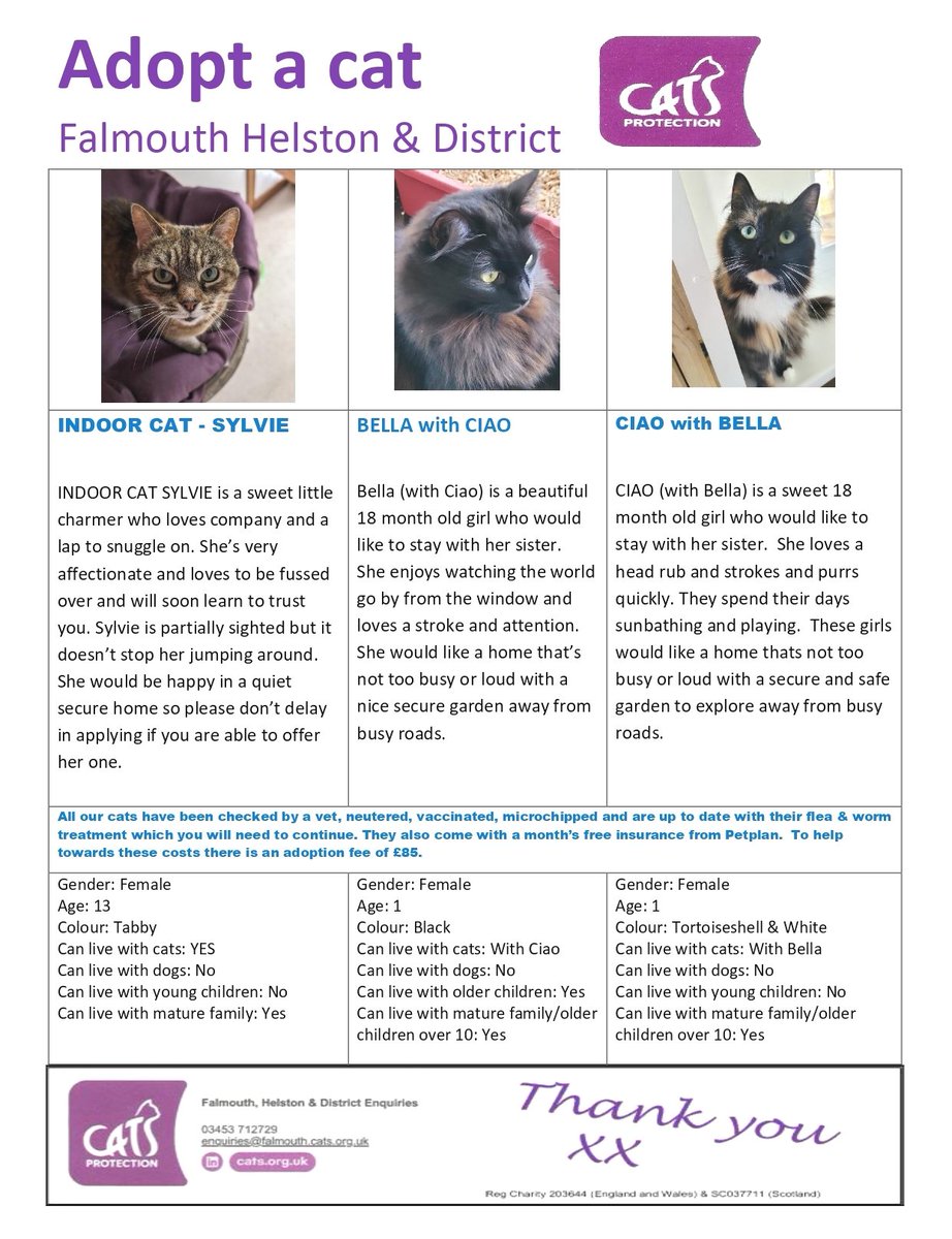 CPFalHel's tweet photo. We have lots of lovely cats available for adoption at Cats Protection Falmouth Helston &amp; District #AdoptDontShop #CatsofTwittter https://t.co/pVMUnzhiCO