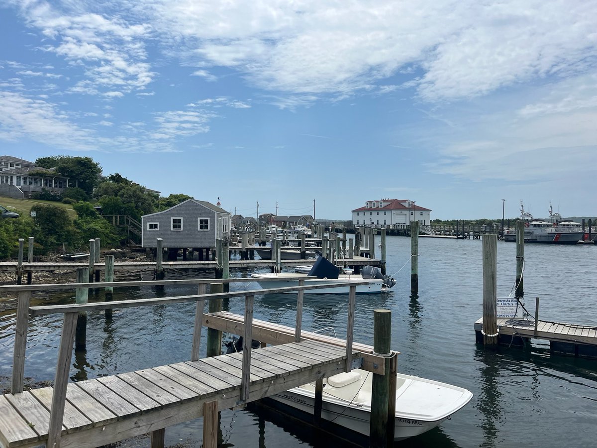 rzenteno's tweet photo. Marthaโs Vineyard vibe #chillmark #edgartown #summer https://t.co/VW4n5QSZBF