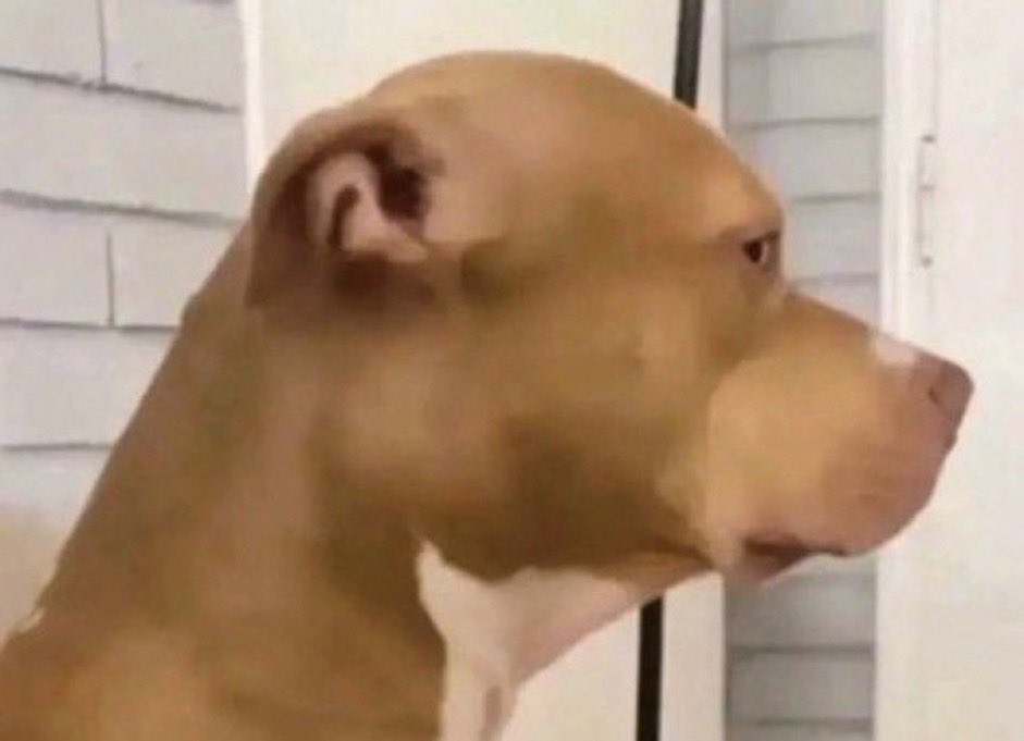 harrison tweet media