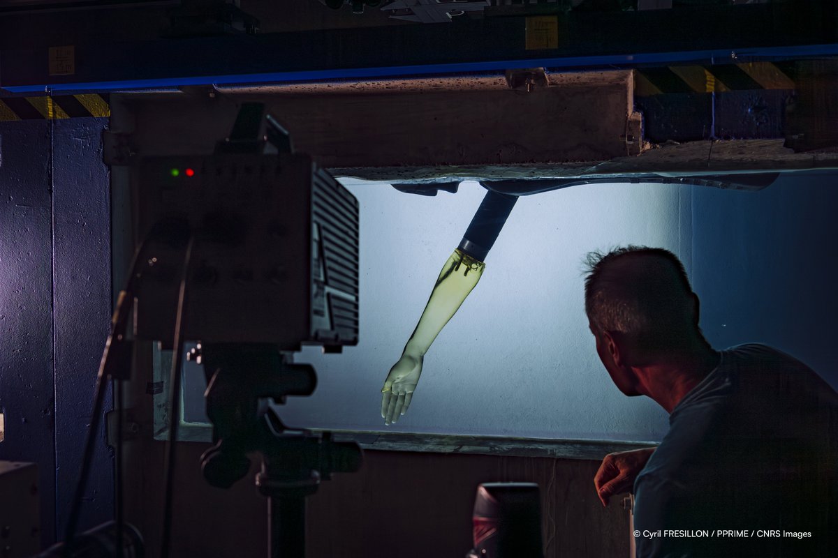 🥇: 4⃣, 🥈: 1⃣, 🥉: 2⃣
Quel bilan pour la natation française aux #JeuxOlympiques #Paris2024 🥳
Le fruit d'heures d'entraînement mais également de l'appui des scientifiques et d'instruments de mesure à la pointe de la technologie, comme ici à l'<a href="/InstitutPprime/">Institut Pprime</a> 🔽