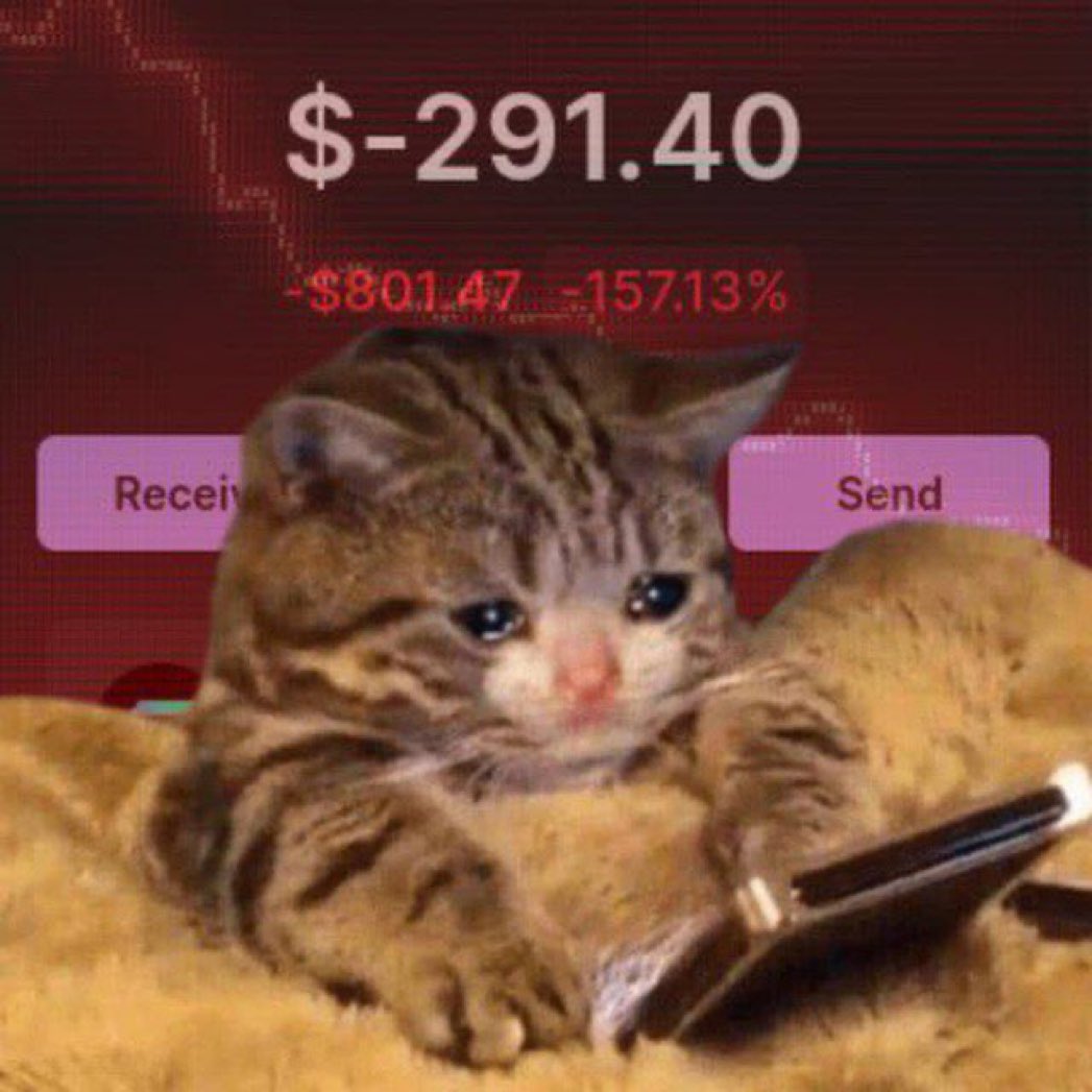 lowkeyfr's tweet photo. everyone on solana https://t.co/9a8ZAgB3qA