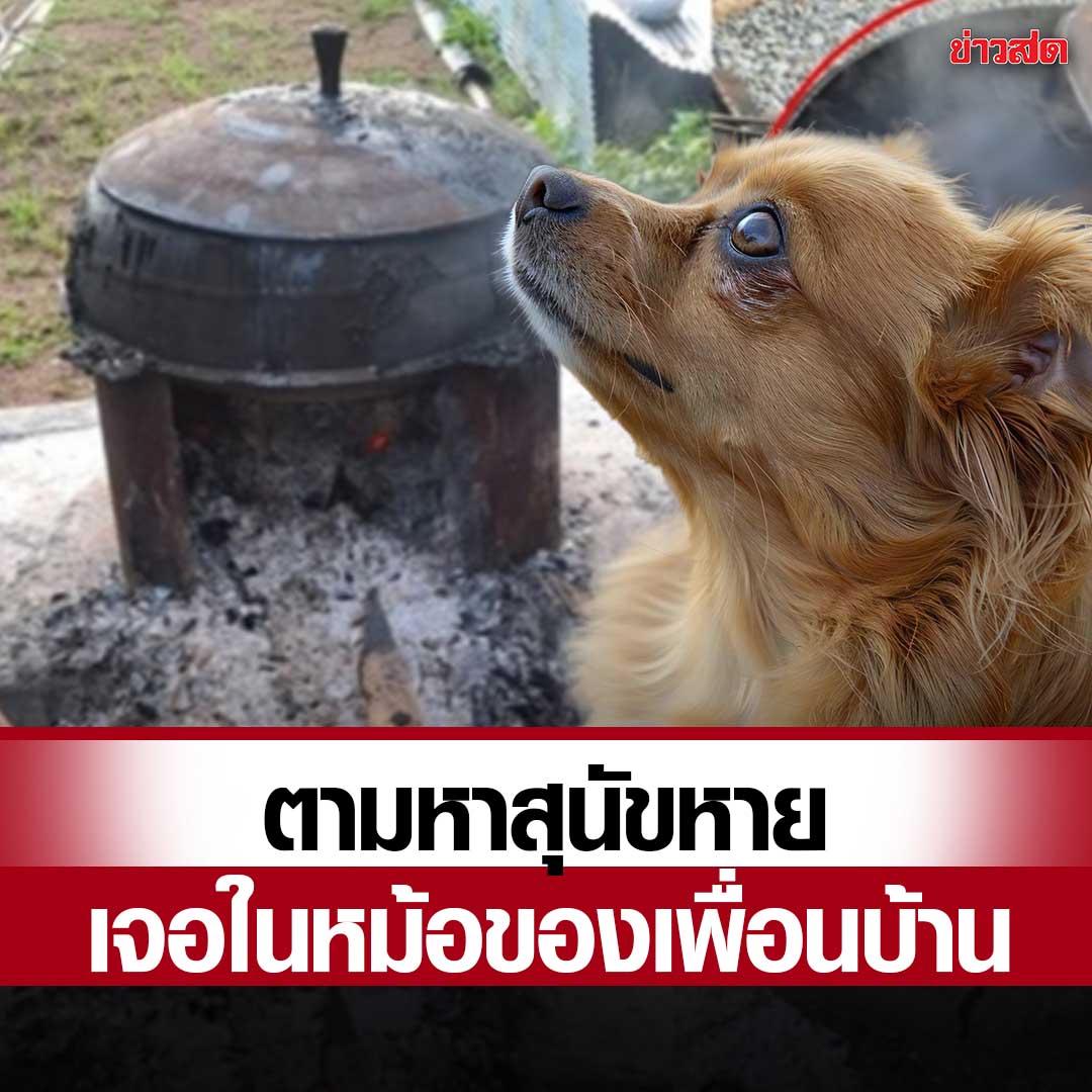 TarotYouuuu's tweet image. ที่้เกาหลี เจ้าของหมาออกตามหาน้องหมาที่หายไปไม่เจอ จนมาพบว่าเพื่อนบ้านจับน้องลงหม้อเอาไปต้มกินแล้ว  ในตอนแรกเขาอ้างว่าไม่ได้ทำ  แต่พอเรียกตำรวจจับ เขาจึงสารภาพว่าตัวเองได้ลงมือฆ่าน้องแล้วเอาไปทำเป็นอาหารจริงๆ โคตรเหี้ยเลย !!!!!