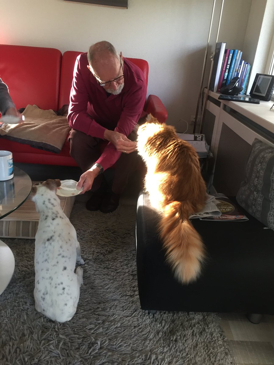 oberonlaan's tweet photo. @Jootjedekat Samen snackjes eten met de ‘vorige’ blafsnuit Thomas en ik  Ermak. #simontrofee @Charlot12898347 https://t.co/3uBh92fFul
