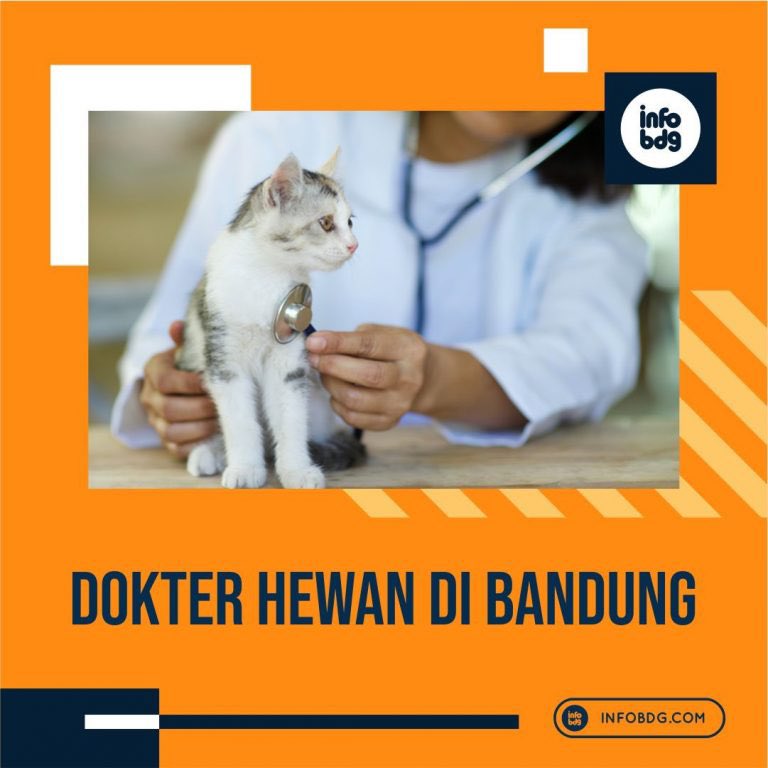 infobdg's tweet photo. Cari dokter hewan buat periksa anabul kesayangan? Cek disini yaa https://t.co/YakYmL9JMj #infoBDG https://t.co/j415WLFPwj