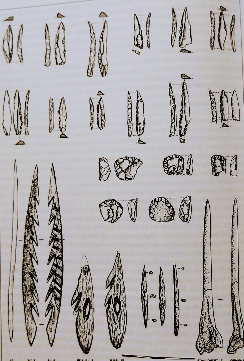 EncarniAlfaro's tweet photo. #Industria Lítica #Aziliense, de la Etapa Cultural del #Epipaleolitico . Puntas de dorso  y #Rascadores cortos circulares de Silex(Cueva de Zatoya, #Navarra),#Arpones óseos ricamente trabajadas y #punzón (Los Azules,#Asturias)[Según A.Cava y J.F. Tresguerres ]😍 https://t.co/b0ydQgwDJ9