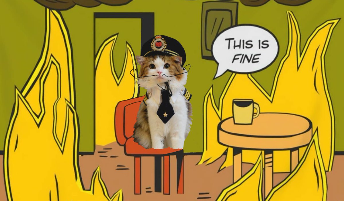 Markets dumping. World is burning. 

But us $ncat diamond hands will be fine, because all we really need is a strong community that BELIEVES.

Moustache stays on. 

TG: t.me/ncatsolcto