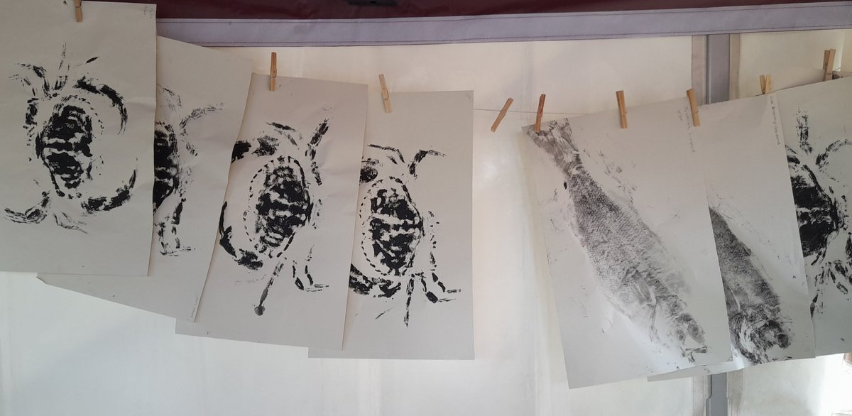 Mary Blue tweet media