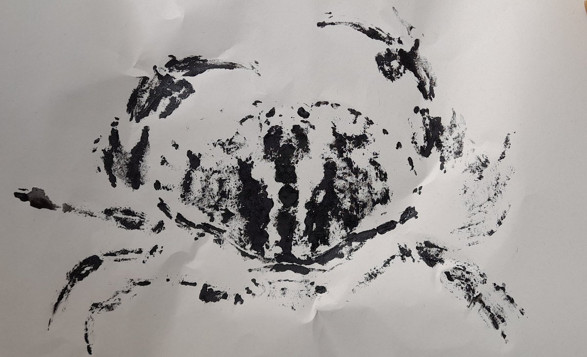 Mary Blue tweet media