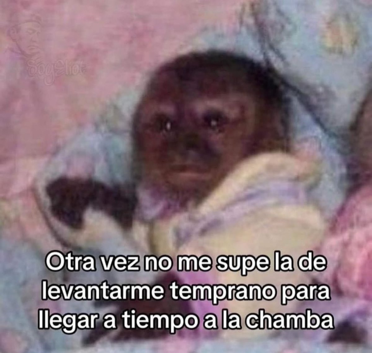 soyMargarlto's tweet image. Valió madre