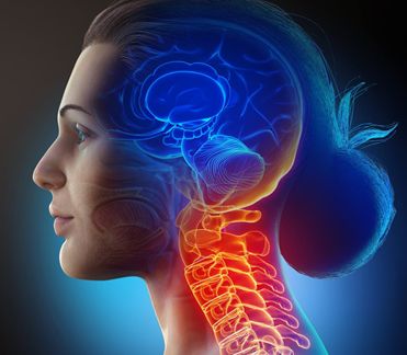CANCEREVENT's tweet photo. Next Generation of TIL Therapy Being Developed for Head and Neck Cancers 
Read More-https://t.co/c9ALyb65z6 
ICancer Conference -https://t.co/sAZALHqtWF 
#Cancer #headcancer #neckcancer #Conference https://t.co/GHrmQY1ptS
