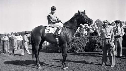 HORSERACING1002's tweet photo. TOM FOOL🇺🇸 1949 (MENOW-GAGA BY BULL DOG)#TomFool
B/ Duval A. Headley(Ky) Mar 31, 1949.
O/ Greentree stables. T/ John M. Gaver.
30-21-7-1--$570,165
1951 champion 2yo Colt. 1953 Champion olderhorse, Horse of the year, champion sprinter.
Belmont futurity. Grand union Hotel S. East view S. Jerome H. Grey leg H. Empire city H. Wilson S. Metropolitan H. Suburban H. Brooklyn H. Whitney H. Carter H. Pimlico S.
2nd Hopeful S. Wood Memorial S.
3rd. Travers S.
Stood at Greentree Stud Sired 30 sw Buckpasser. Silly season. Tim Tam. Tompion. Etc
Died Aug 20 1976.