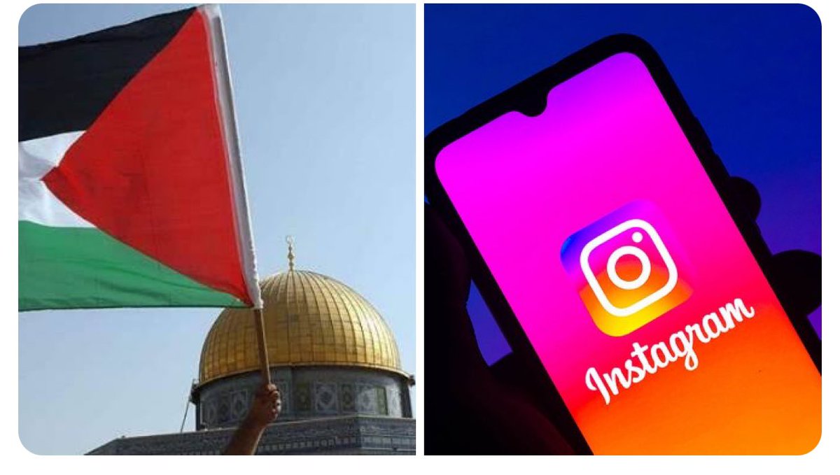 Fermayil tweet media