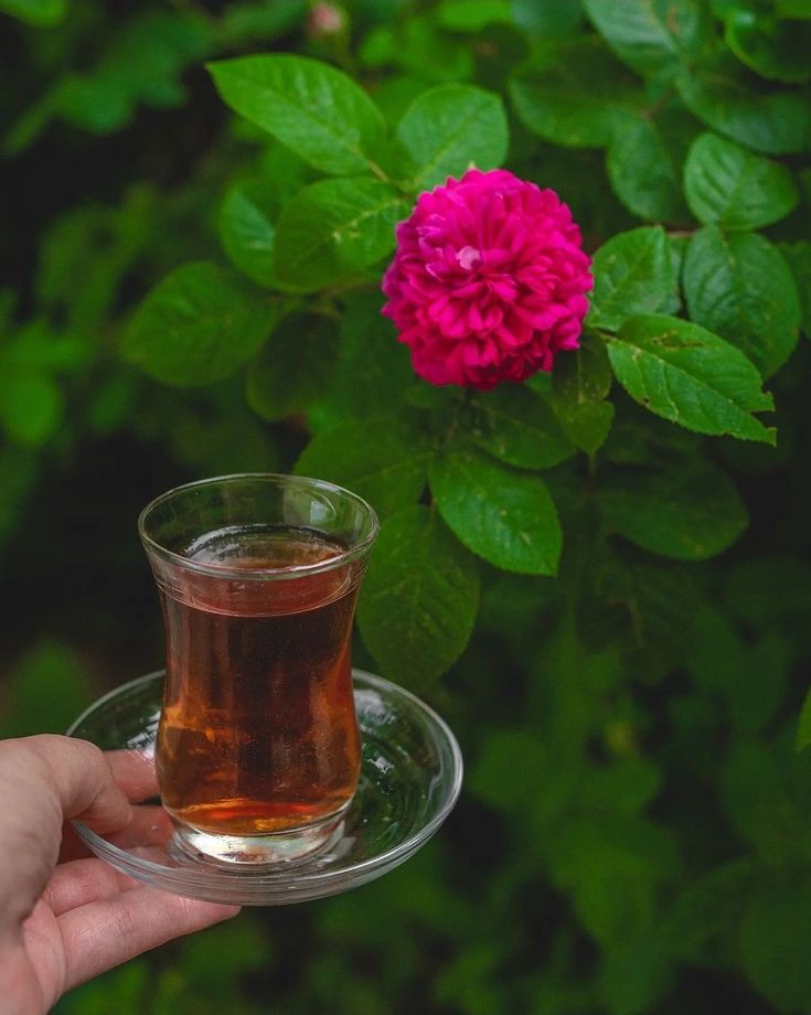 <a href="/AyaSame30957623/">Aya Sameh</a> كل 
الذين 
يشربون 
الشاي حروفهم سُكر .