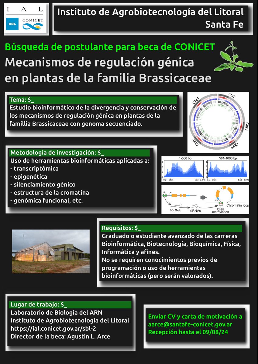 Agustin Arce (@agustinlarce) on Twitter photo Búsqueda de postulante para beca de CONICET en <a href="/IAL_CONICET/">IAL-Comunica</a>
Investigación sobre mecanismos de regulación génica en plantas usando herramientas bioinformáticas 🌱💻🧬
Envío de CV y carta de motivación hasta el 09/08.
#Doctorado #Beca #Bioinformática Búsqueda de postulante para beca de CONICET en <a href="/IAL_CONICET/">IAL-Comunica</a>
Investigación sobre mecanismos de regulación génica en plantas usando herramientas bioinformáticas 🌱💻🧬
Envío de CV y carta de motivación hasta el 09/08.
#Doctorado #Beca #Bioinformática