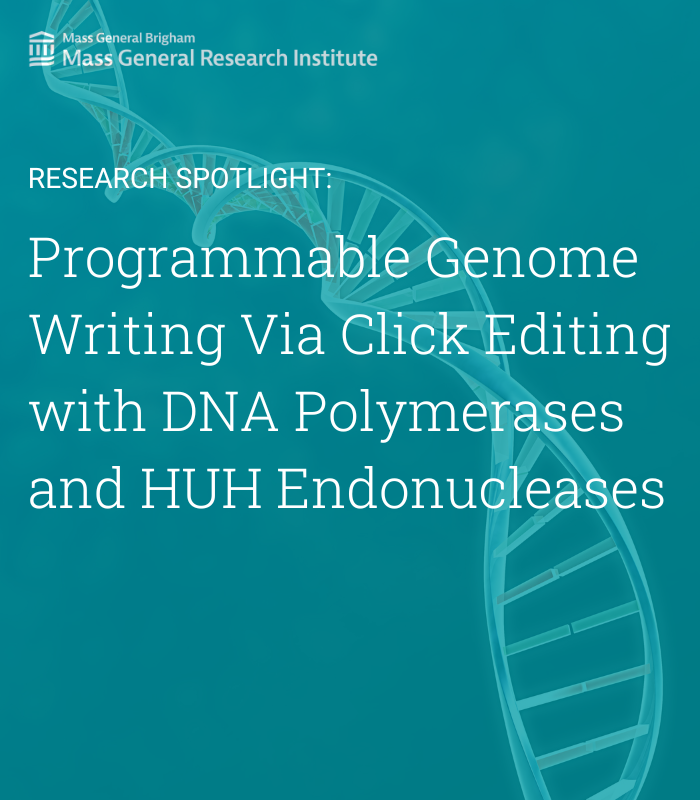 MGBResearchNews's tweet photo. In a new @NatureBiotech study, researchers from @CGM_MGH and colleagues investigated programmable genome writing via click editing with DNA polymerases and HUH endonucleases. 

Read more: https://t.co/NK7Cx8sQ1u @BKleinstiver @FerreiraSilvaJ @connorjtou https://t.co/PVAvntuSOo