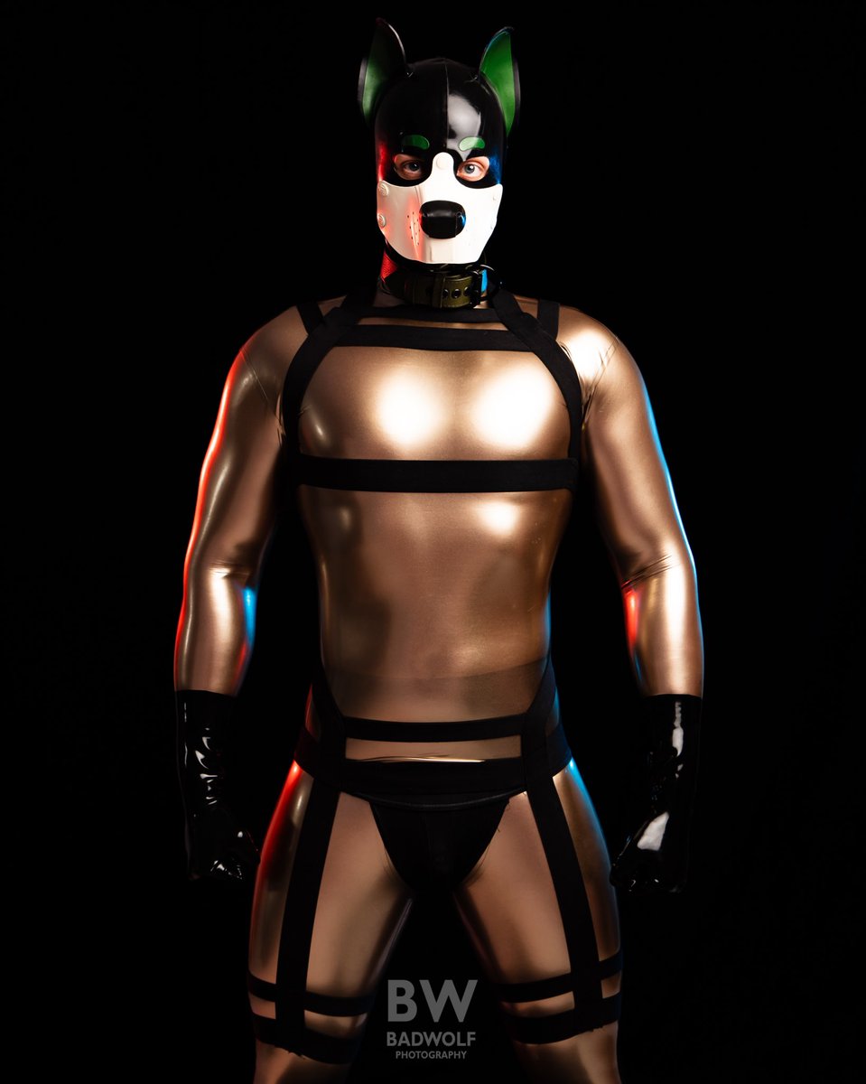 Pup Virens tweet media