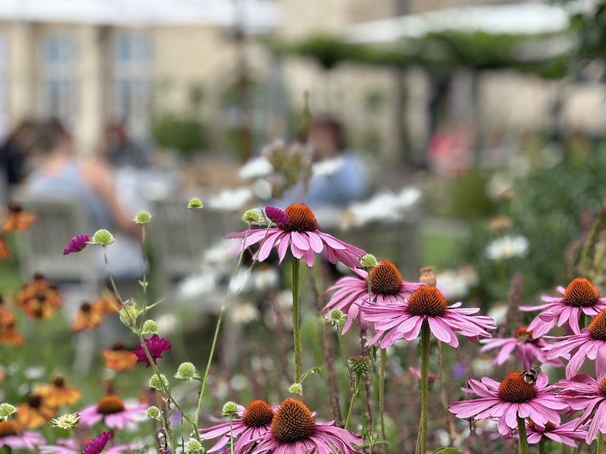 royalcrescent's tweet photo. On Friday we had the perfect warm summer’s evening for our August DJ Night on the terrace 🎶🌿

Join us on Friday 6th September for our September DJ Night
Book on our website under ‘What’s On’

#bath #bathrestaurants #royalcrescent #theroyalcrescent https://t.co/yirSNbc3lM