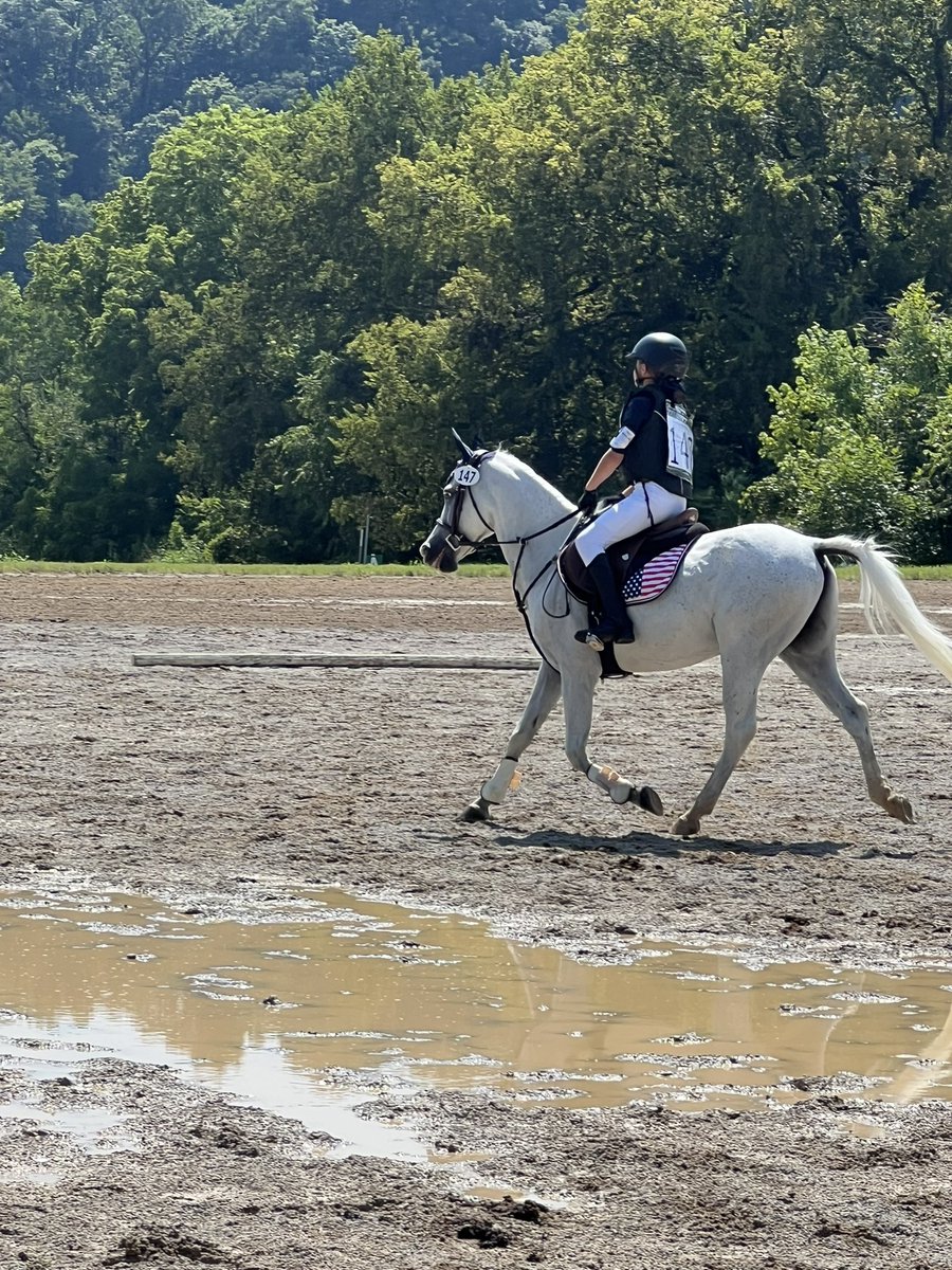 tomtree65's tweet photo. Great weekend at River Glen
Equestrian eventing show Knoxville Tennessee. My baby girl pulled a 4th place https://t.co/5i2pSsPhBy