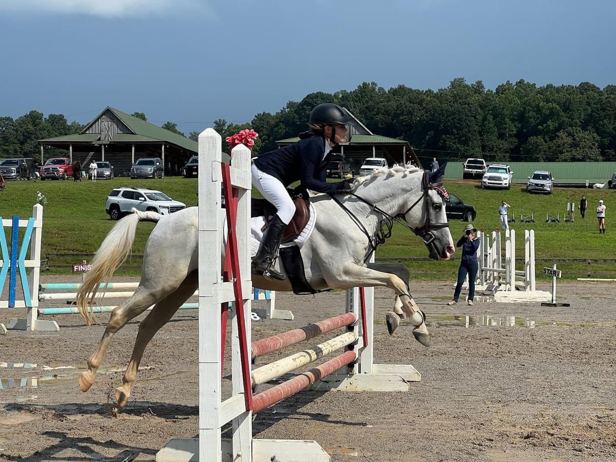 tomtree65's tweet photo. Great weekend at River Glen
Equestrian eventing show Knoxville Tennessee. My baby girl pulled a 4th place https://t.co/5i2pSsPhBy