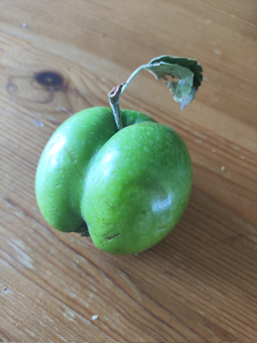 rod2seb's tweet photo. Quand tu hésites entre être une #pomme et être une #pêche...
@Apple #curiositedelanature https://t.co/SOQVIiVRly