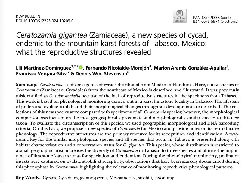 LiliMtzD's tweet photo. ¡A new Ceratozamia species!
Our Manuscript is out in Kew Bulletin. So happy to have been part of this study. This species was described from Tabasco, Mexico.
Read more about it:
https://t.co/BnKwiz3LzV
#cycads #zamiaceae #botany https://t.co/dzXamrdlQd
